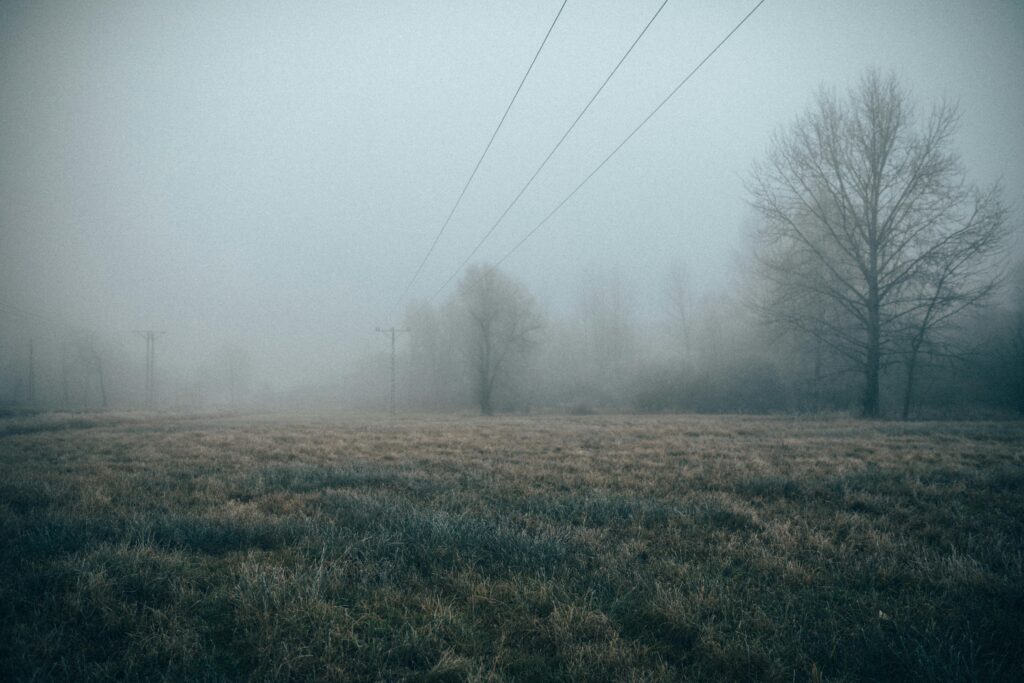 un paysage large avec brouillard